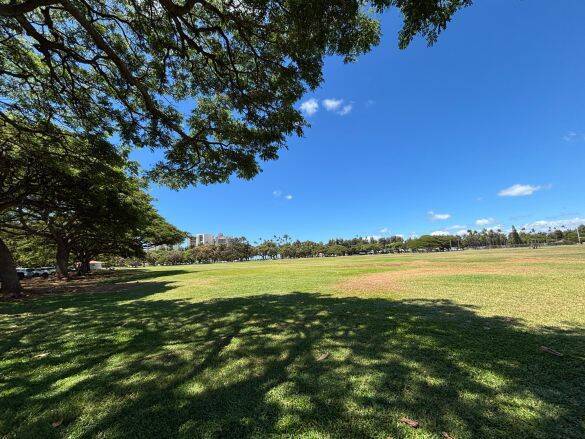 44歳・元テレ朝アナ「家族4人でのハワイ移住」を報告。“大きな壁”と不安を明かす