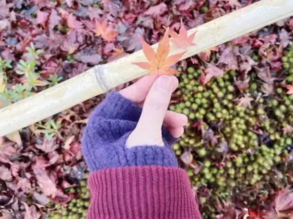 「気に入りすぎてヘビロテしてる」まだまだ使えるユニクロあったかアイテムが可愛すぎる