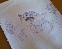 「人が人を愛する理由とは？」松本穂香が考える“恋愛における厄介なこと”