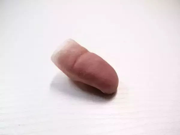 「まるで本物…！ 爪の縦線や指紋、シワまで再現して「失われた身体の一部」を作り続ける44歳職人の想い」の画像