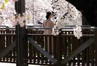 伯母から相続放棄を迫られア然、1年後がめつい伯母に天罰がくだる／義実家・家族人気記事BEST