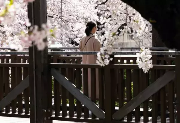 伯母から相続放棄を迫られア然、1年後がめつい伯母に天罰がくだる／義実家・家族人気記事BEST