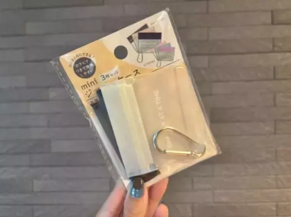 バッグの“小物迷子”問題が一発で解決！ セリア110円「miniジッパーケース」が使い勝手よすぎた