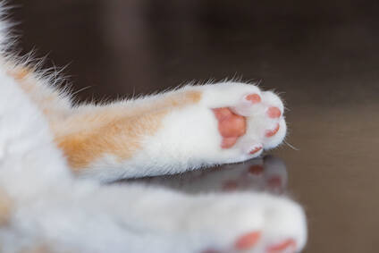 夫の不倫相手に会って驚き。「あなたならいいわ」と39歳妻が許した理由／結婚人気記事BEST