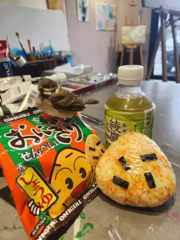 「「これがおにぎり!?」れん乳、チョコパイ、馬刺し丼まで！おにぎりアートの作者を直撃「真剣にふざけている状態です（笑）」」の画像