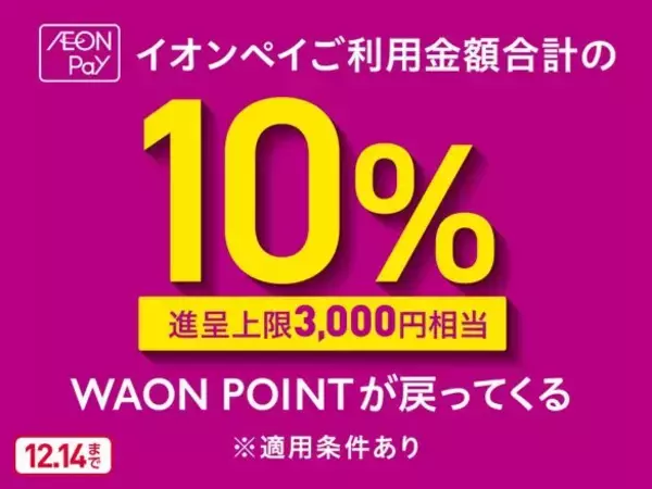 「ビックカメラで「30%還元」になる“知ってる人だけ得をする支払い方法”」の画像