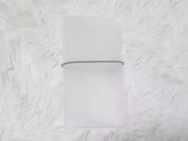「優秀すぎる！リップ、目薬…“バッグにそのまま入れて行方不明”がなくなる！ダイソーのうす〜いポーチが“買い”だった」の画像
