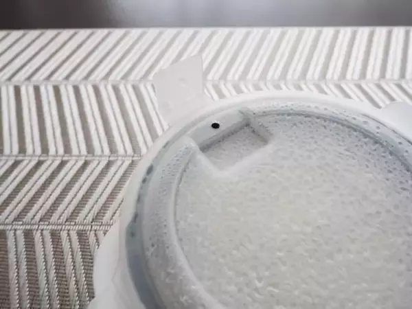 「我が家の冷凍ごはんに革命が起きた！ダイソーの専用容器 vsラップを徹底比較したら“驚きの違い”」の画像