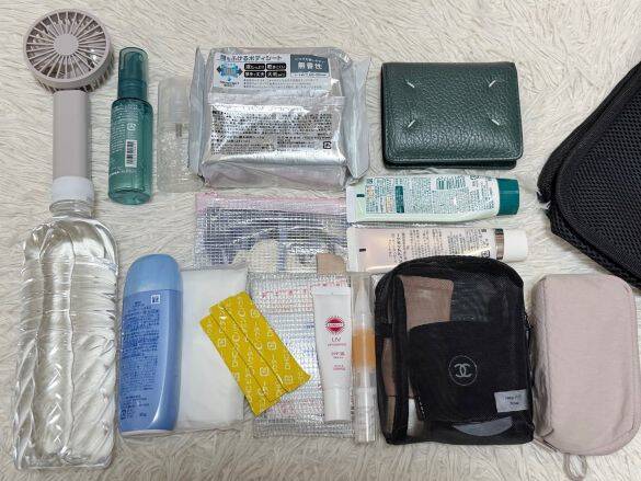 作った人、ありがとう！ポケット10個付きのダイソー330円「バッグインバッグ」で小物の行方不明が即解決