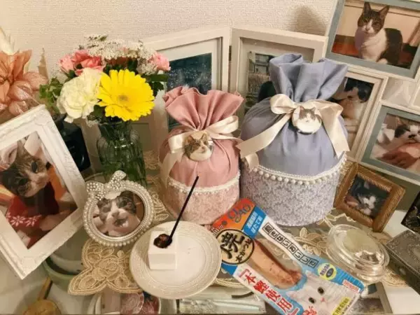 庭に現れたのは、死産した子猫をぶら下げた野良猫。そこから18年続いた“奇跡の猫生”とは