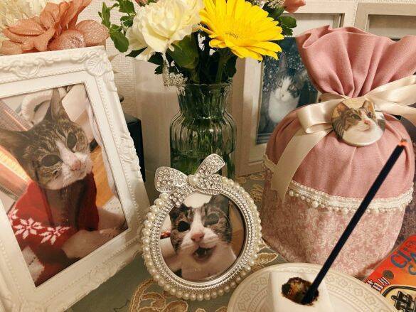 庭に現れたのは、死産した子猫をぶら下げた野良猫。そこから18年続いた“奇跡の猫生”とは