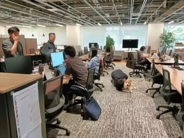 「まじめな会議を横目に柴犬を吸う」愛犬と出勤できる会社が羨ましすぎるっ！社長を直撃