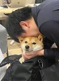 「「まじめな会議を横目に柴犬を吸う」愛犬と出勤できる会社が羨ましすぎるっ！社長を直撃」の画像13