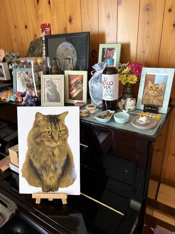 「もっと何かできたのでは」自責の念を抱えながら。ガン闘病の愛猫を看取った飼い主がたどり着いた、後悔なき供養の形