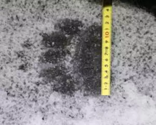 「「熊の脅威をフィクションのように捉えている」札幌・東京2拠点の筆者が体感する“認識の落差”とは」の画像