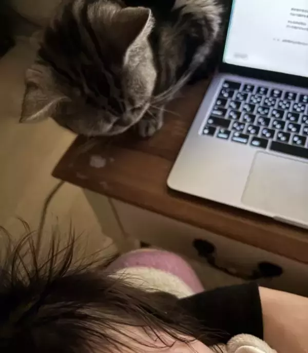 「37歳で想定外の妊娠→現在、0歳育児中。「焦ることも多いけど…」発達障害の私がたどり着いた“苦手の攻略法”」の画像