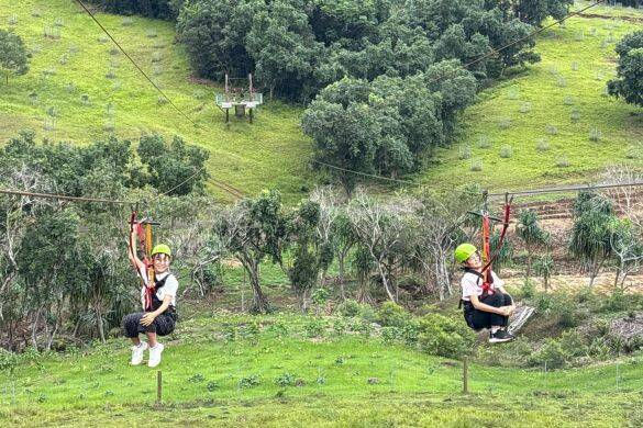 ハワイ旅行は現地費用10万円で十分楽しめる！移住した元テレ朝アナがモデルツアーを提案