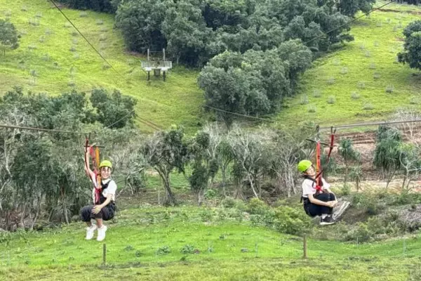 「ハワイ旅行は現地費用10万円で十分楽しめる！移住した元テレ朝アナがモデルツアーを提案」の画像