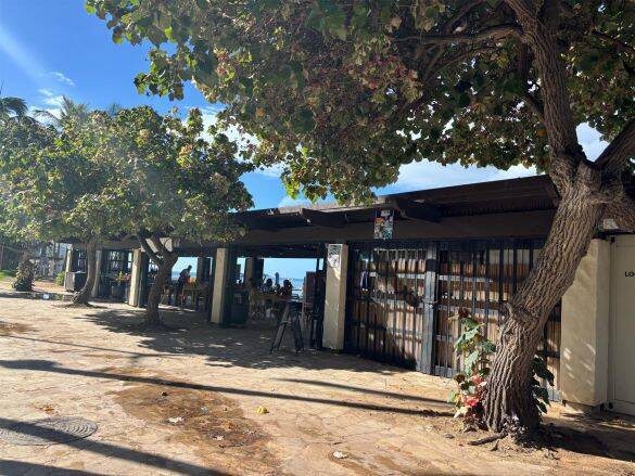 ハワイ旅行は現地費用10万円で十分楽しめる！移住した元テレ朝アナがモデルツアーを提案