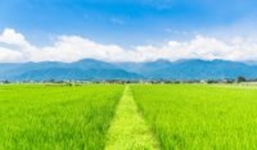 32歳で農家の嫁に。絶望したけど「田舎は驚くほど快適だった」／義実家・家族人気記事BEST