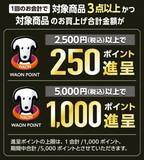 「ウエルシアで「実質142ポイント黒字」になってしまう裏技も！知ってる人だけ得をする“キャンペーン掛け合わせ術”」の画像3
