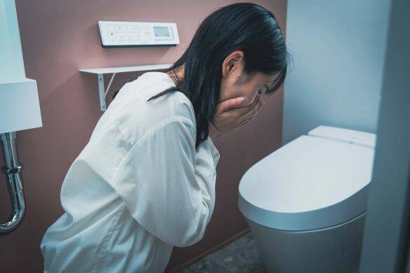 ゾゾッ！超豪邸な義実家で感じた“怪しい気配”の正体。トイレの扉を開けると……／義実家・家族人気記事BEST