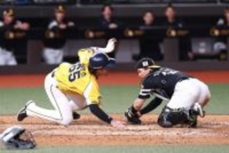 台湾プロ・中信、ソフトバンクに3―7で敗れる　小久保監督、高宇杰捕手らに注目