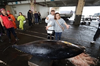 台湾・蘇澳の「初マグロ」　2年連続で同じ漁船が捕獲　重量276キロ
