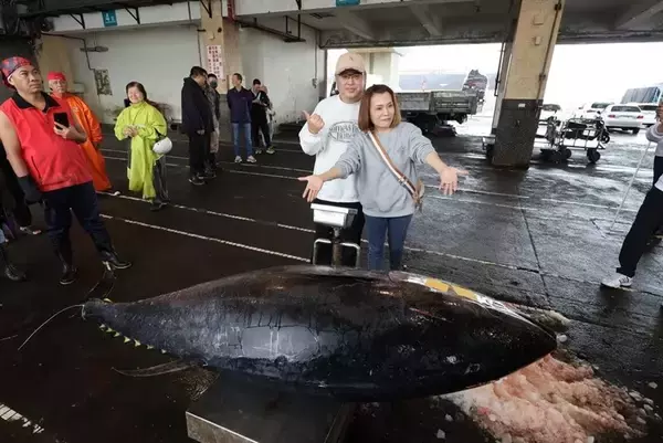 台湾・蘇澳の「初マグロ」　2年連続で同じ漁船が捕獲　重量276キロ