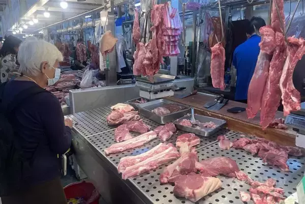 台湾でアフリカ豚熱疑い事例　行政院長、水際検査や密輸取り締まりの強化を指示