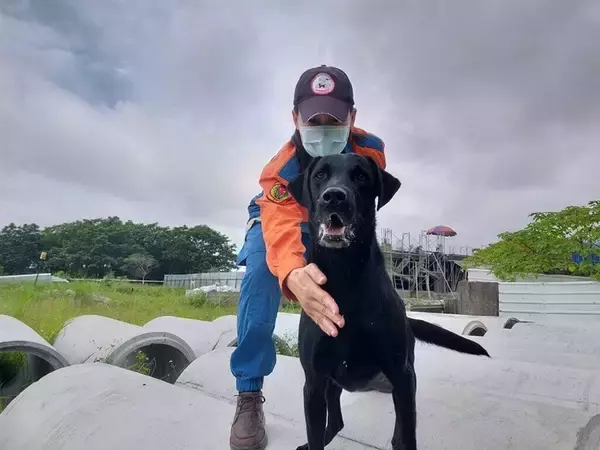 捜索の最前線で活躍する災害救助犬 求められる能力は 台湾東部地震