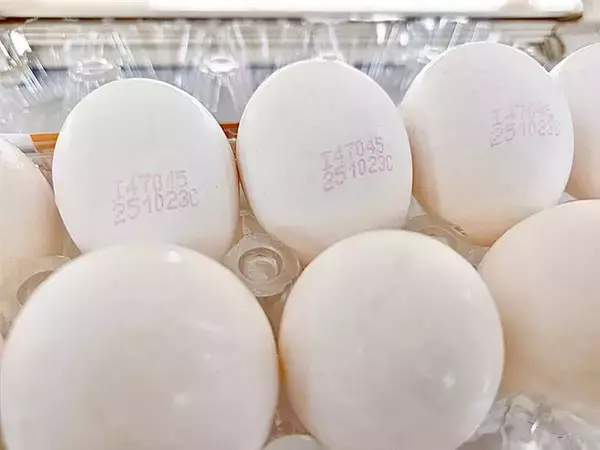 台中、高雄など9県市で流通の卵15万個を回収　残留農薬が基準値越え／台湾