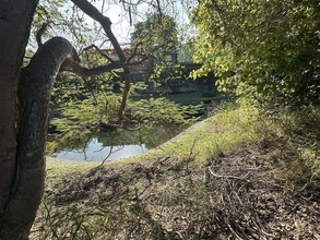 地域の歴史を見守る屏東県の湧水　生態系保護・教育エリアに整備へ