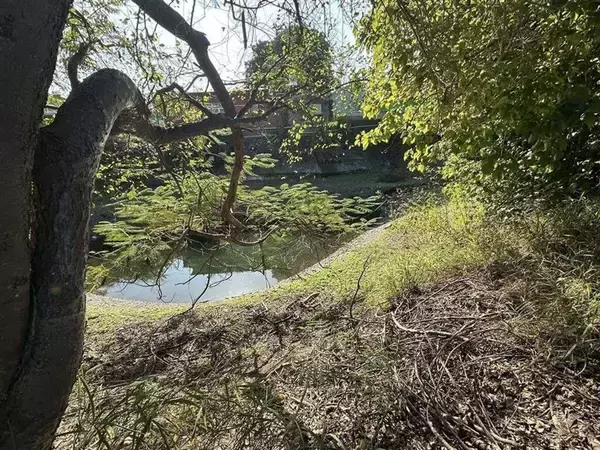 地域の歴史を見守る屏東県の湧水　生態系保護・教育エリアに整備へ