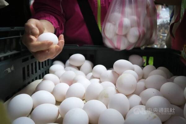 気温上昇で生産量回復 鶏卵の需給 3月中旬にも安定の見通し 台湾 22年2月28日 エキサイトニュース