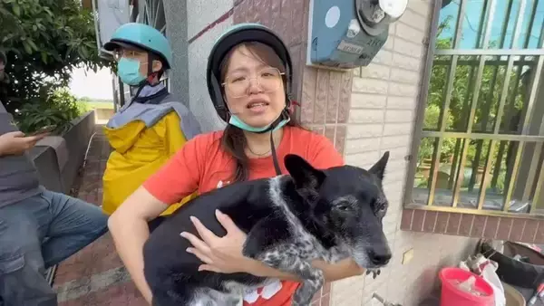 迷い犬を捕まえた男性、約250万円の懸賞金は「気持ち程度で十分」／台湾