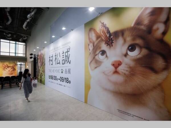 日本人イラストレーターの動物画展 台湾 台北で初開催 癒やし与える 16年7月6日 エキサイトニュース