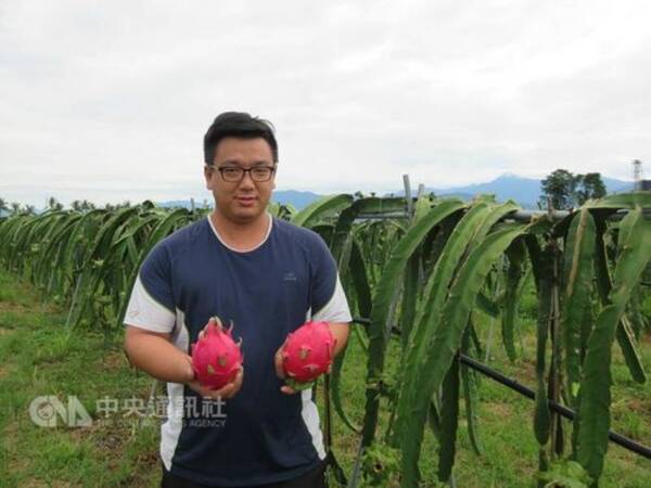 コーヒーかすを肥料に 香り豊かなドラゴンフルーツに注目集まる 台湾 16年10月23日 エキサイトニュース
