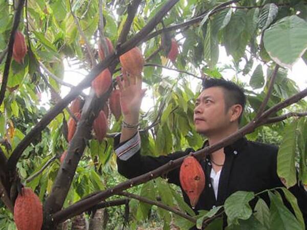 台湾 屏東でカカオ農園営む青年 同業者と連携 地元産業振興 日本参考に 19年5月日 エキサイトニュース