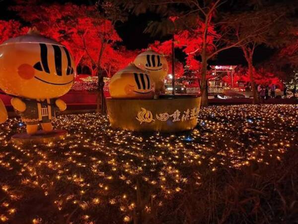 紅葉イルミで気分は日本 屏東の名湯で温泉フェス開催 台湾 19年11月9日 エキサイトニュース