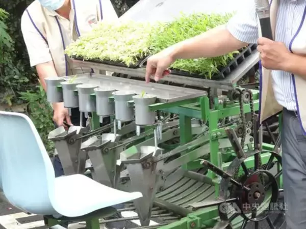 台湾、国産移植機を発表  葉物野菜に特化し日本製との差別化図る