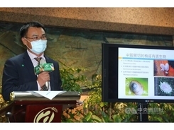 中国、台湾産パイン輸入停止  害虫理由に  農業委反発「対策強化済み」