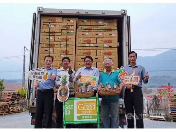 屏東産パイナップル 日本大手スーパーへの販売量が倍増の見通し 台湾 21年3月1日 エキサイトニュース