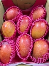 デルタ株確認でマンゴーに風評被害  農業委「青果での感染例ない」／台湾