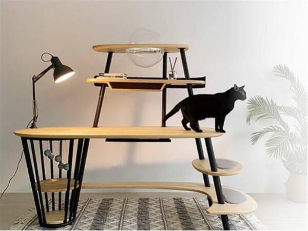 大学生設計のデスク 猫のニーズにも応え 愛猫家などから注目 台湾 21年7月5日 エキサイトニュース