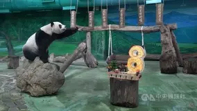 5歳女児の胃から毛髪の塊1 5キロが摘出される 2歳半から食べていた 印 21年7月6日 エキサイトニュース