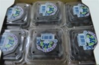 日本から輸入のブルーベリー、水際検査で不合格　残留農薬の基準違反／台湾