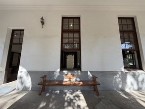 日本時代に植えられたイヌマキ　台風で倒木　ベンチに加工し再利用／台湾