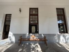 日本時代に植えられたイヌマキ　台風で倒木　ベンチに加工し再利用／台湾