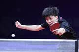 「世界卓球団体戦　台湾、男子が2大会連続で銅　準決勝で日本に敗れる」の画像1